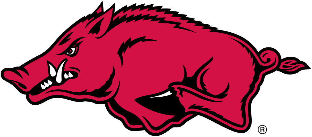 Arkansas Razorbacks 2001-Pres Alternate Logo iron on transfers for T-shirts